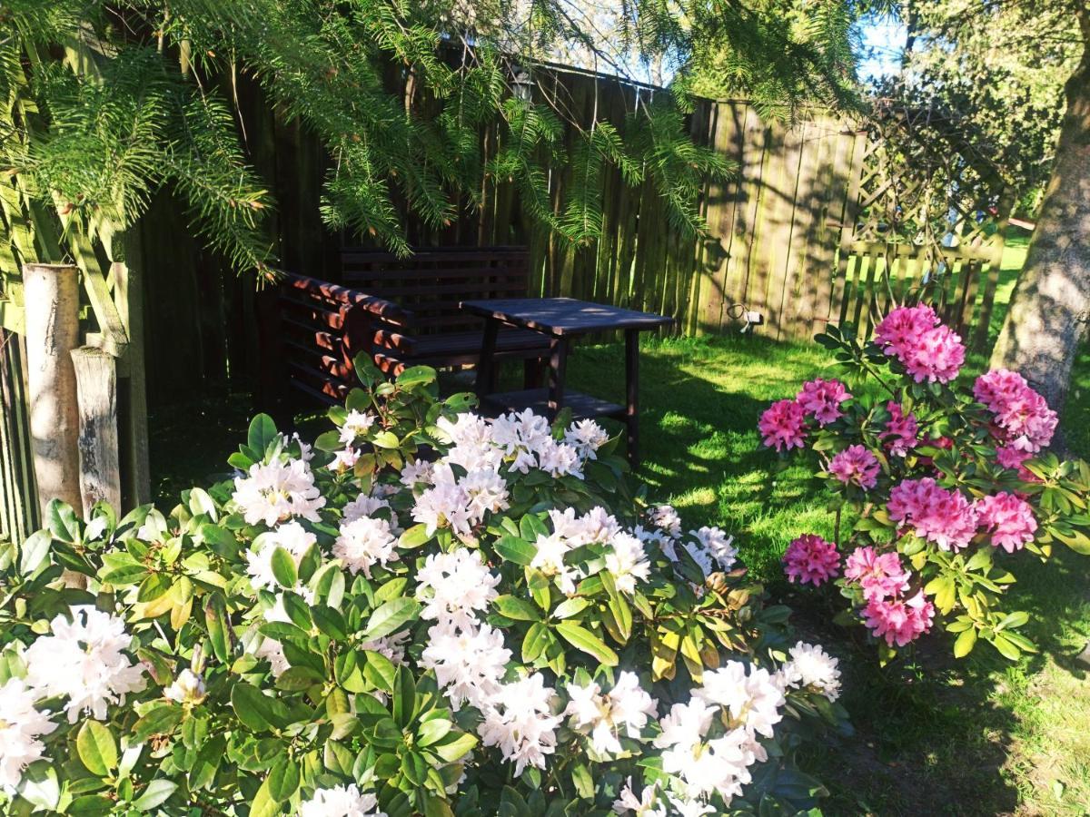 Homestay Pod Wierzba - Mieroszyno Jastrzebia Gora