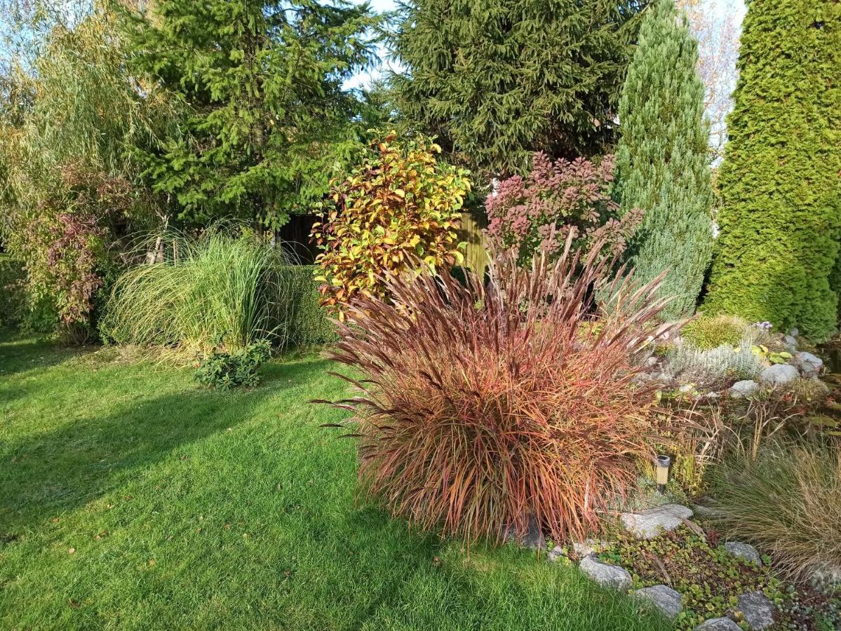 Pod Wierzba - Mieroszyno Homestay