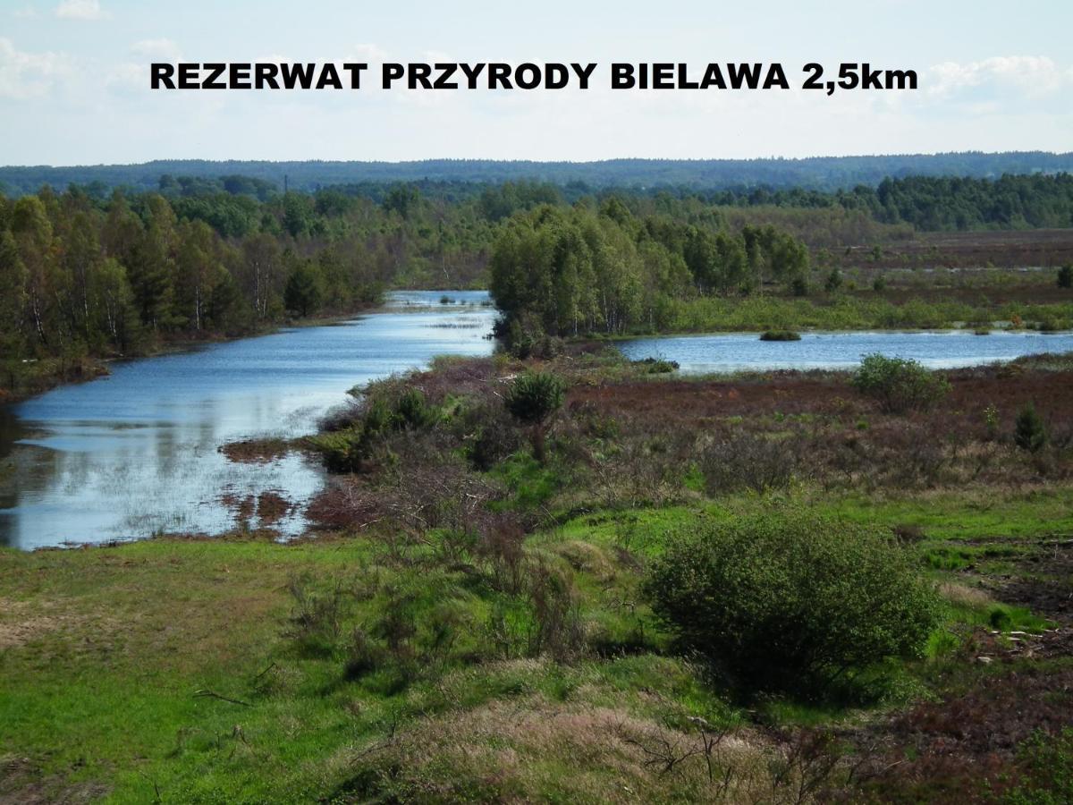 Homestay Pod Wierzba - Mieroszyno